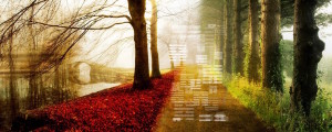 way to