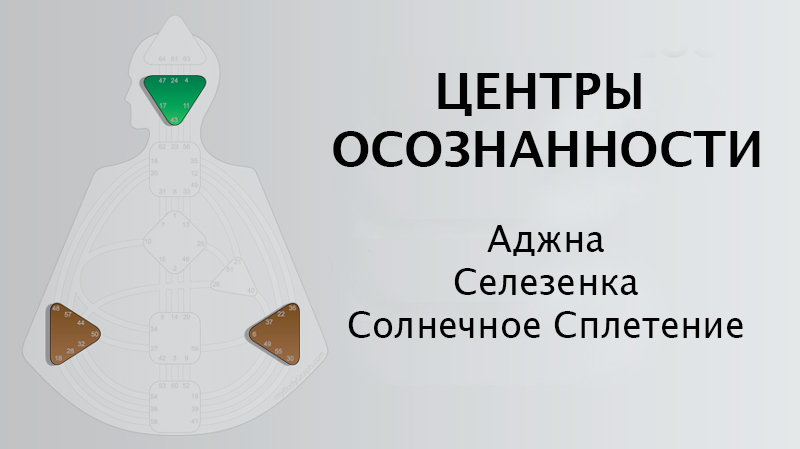 Awareness-Centers-Mental-Streams-Basic-Design-Concepts-The-Human-Design-System-Ra-Uru-Hu