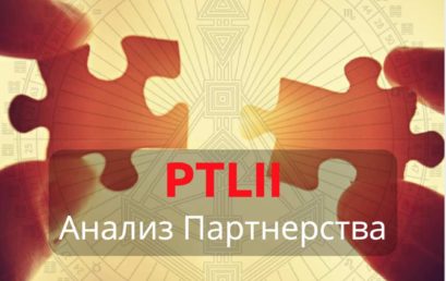PTLII. Анализ Партнерства.