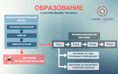 Профессиональное обучение. Как стать аналитиком или бизнес-консультантом?