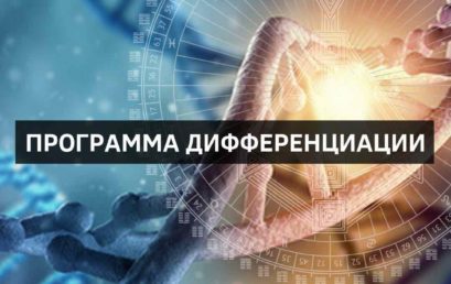 Что будет на курсе «Программа Дифференциации»