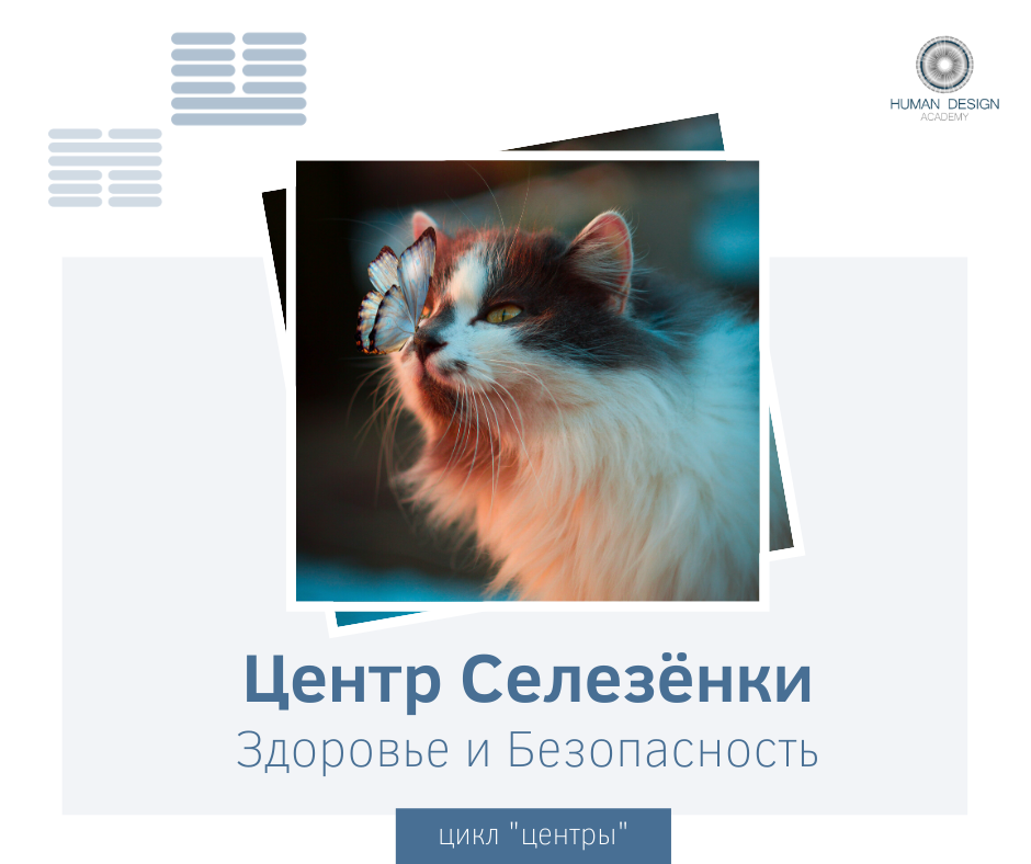 Центр Селезенки. Здоровье и Безопасность Центр Селезенки. Здоровье и Безопасность