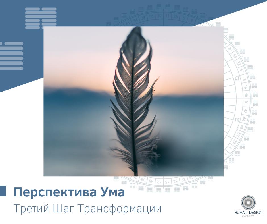 Перспектива Ума. Третий Шаг Трансформации Перспектива Ума. Третий Шаг Трансформации